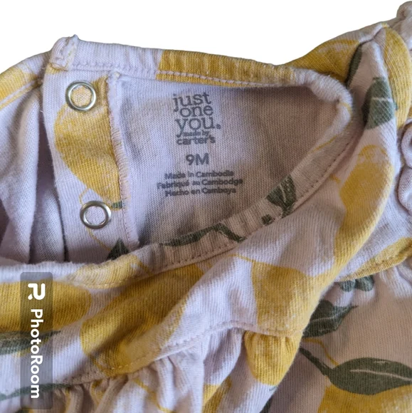 2/$10 9 mo Carters botanical outfit lot - Picture 6 of 7